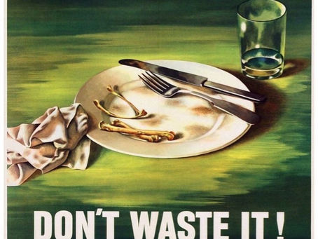 WASTE IT NOT