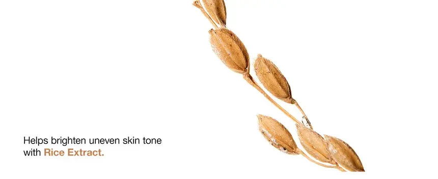 Miniatyrbild: Anua - 7 Rice Ceramide Hydrating Barrier Serum