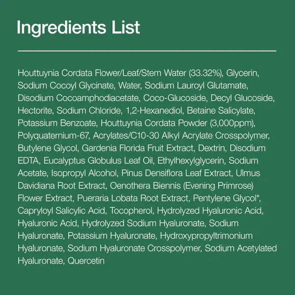 Miniatyrbild: Anua - Heartleaf Quercetinol Pore Deep Cleansing Foam