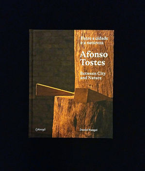 Afonso Tostes: entre a cidade e a natureza // Editora Cobogó