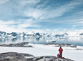 Frozen Landscape