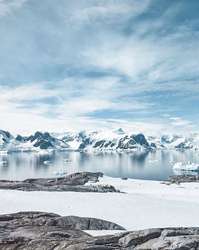 Frozen Landscape