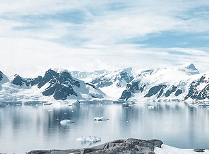 Frozen Landscape