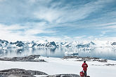 Frozen Landscape