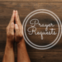 Click the Link in our Bio1(2).png