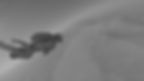 fullsizeoutput_329d_edited.jpg