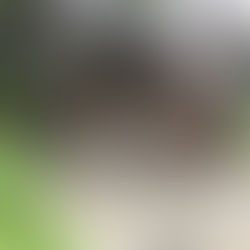 家の記憶（2024年8月18日）　House Memory（August 18, 2024）