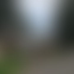 D.I.Y.の家とつんねの家（2024年8月16日）　D.I.Y. House and Tsunne House（August 16, 2024）