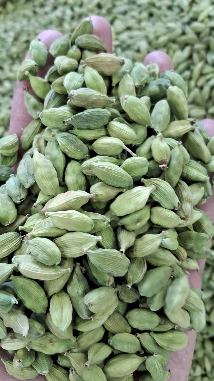 WhatsApp Image 2025-12-10 at 5.06.22 PM.jpeg