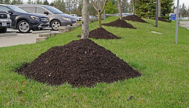 Mulching Mistakes We See Every Spring (And How to Fix Them)