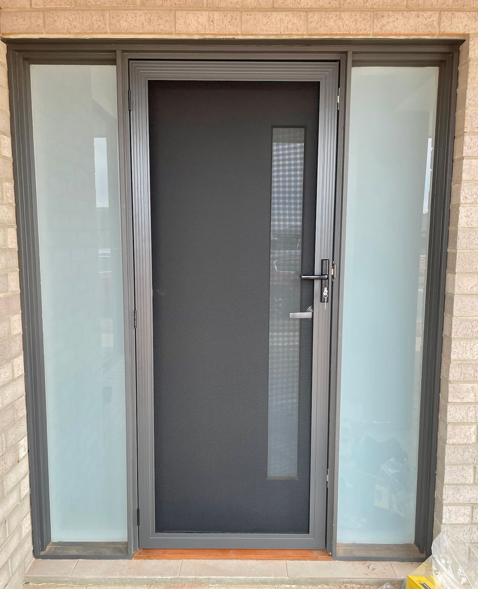 Invisi-Gard Door