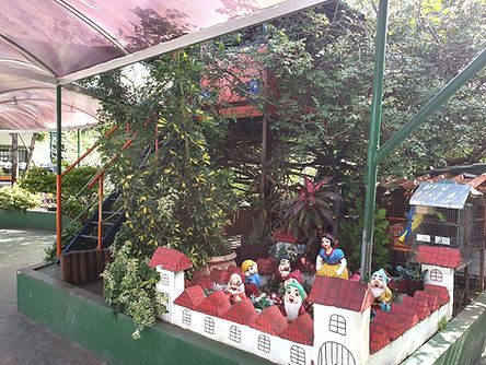 casa na árvore do colégio viver