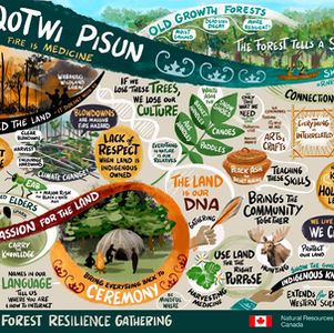 Graphic Recording for Indigenous Communities