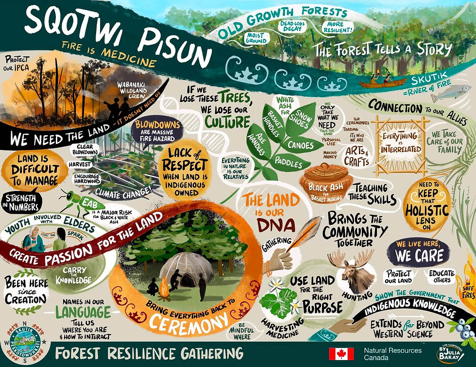 Graphic Recording for Indigenous Communities