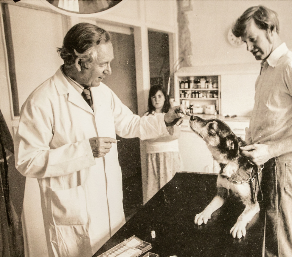 James Herriot (James Alfred Wight) during work