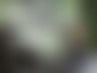 Você sabia que é a Condecine que alimenta o FSA? Que a Condecine é vinculada a atividade audiovisual