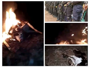 ESN invades Fulani herdsmen camp in Isiukwuato, kills, burns dozens of cows