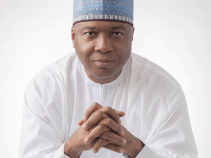 Saraki asks UK, EU to slam visa ban on election riggers in Nigeria — like US did