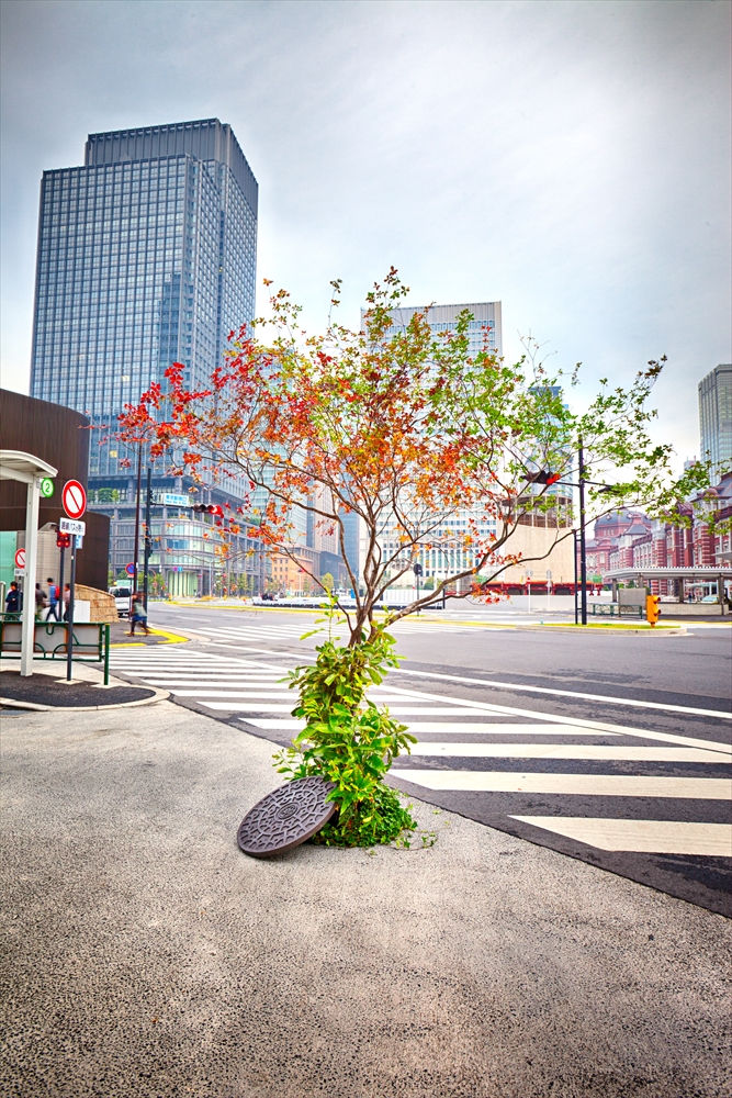 Scene1. Tokyo Station