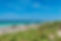 _DSC9656_resize.jpg