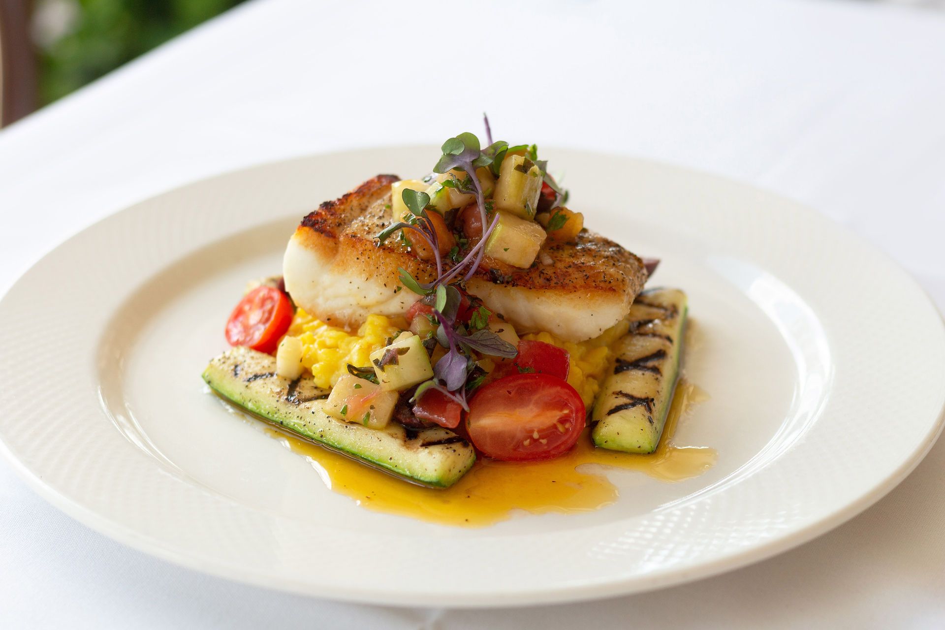 Pan-seared Alaskan halibut served over grilled zucchini and creamy risotto, topped with fresh herb garnish and cherry tomatoes