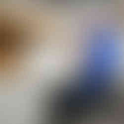 Man hugging and laughing with a happy Alaskan sled dog at a Denali dog tour kennel.