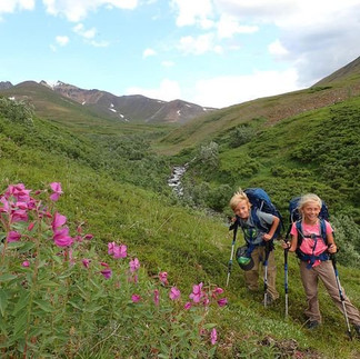Hikers with backpacks trekking through lush green valleys and wildflowers on a guided hike in Denali National Park, Alaska