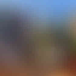 Selection of fine wines and champagne bottles displayed on the deck at McKinley Creekside Café and Bakery with Denali mountain views in the background.