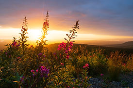 AdobeStock_335701283.jpeg