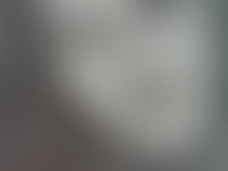 Lygia Fagundes Telles