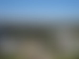 A solidariedade que enfraquece