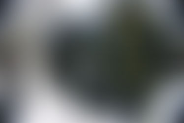 Incontinência artificial