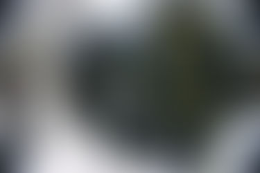 Incontinência artificial