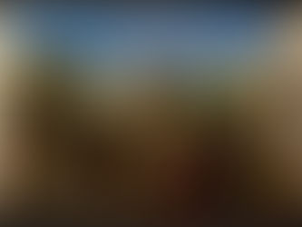 AUTODIDATISMO E AUTOENGANO