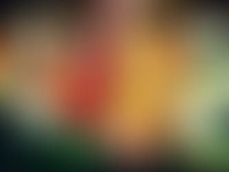 Semifinalistas na categoria Poesia