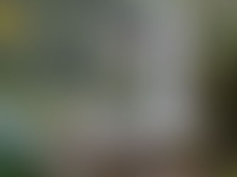 Salto Encantado propone una inmersión en la Selva especial por el día de la mujer