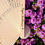 Miniature : Éventail personnalisable 