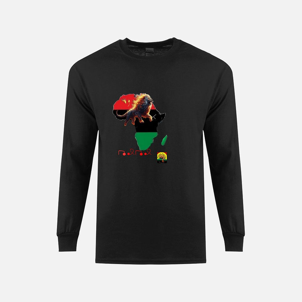 Long Sleeve Men's T-shirt -M