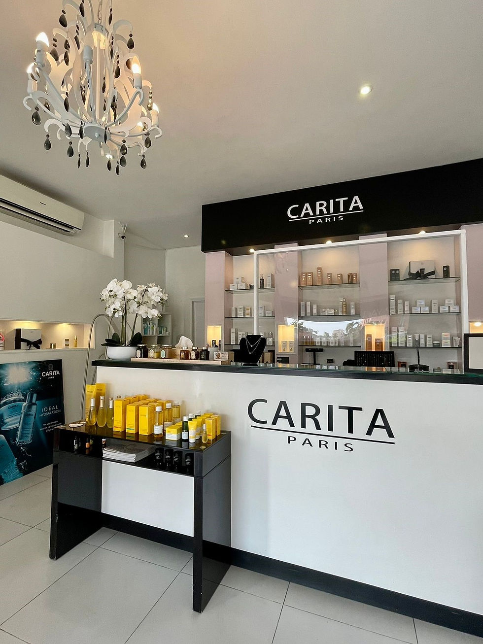 PRESENTATION CARITA