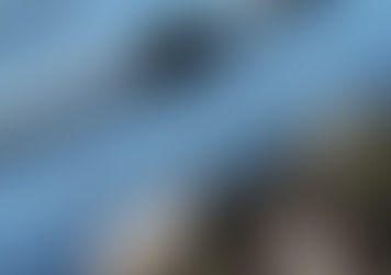 Il Silenzio della Pubblica Amministrazione, scelta o inerzia colpevole? 