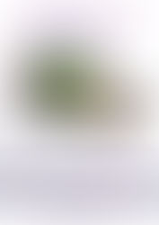 Festival des énergies