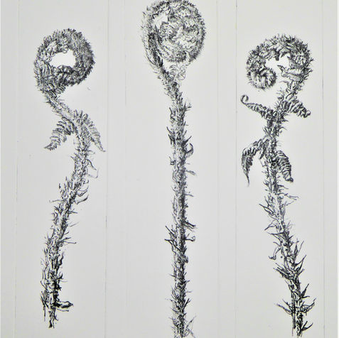 Unfurl 3 Part Drypoint Etching.JPG