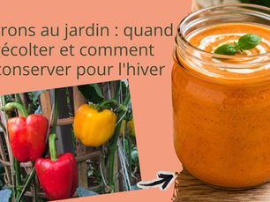 Poivrons au jardin : quand les récolter et comment les conserver pour l'hiver