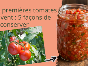 Tes premières tomates arrivent en masse : 5 façons de les conserver