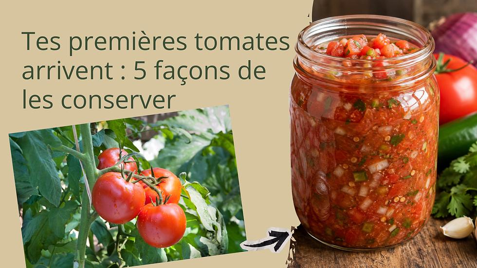 Tomate et Salsa