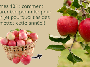 Pommes 101 : comment préparer ton pommier pour l'hiver (et pourquoi t'as des pommettes cette année!)