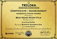 1641 Certificate-February&March 2025-Best Micro Short Film copy.jpg