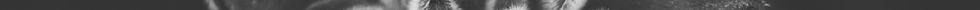 Hotels-Models14015 2_edit_new 2.jpg