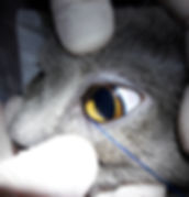 20180715_110619.jpg