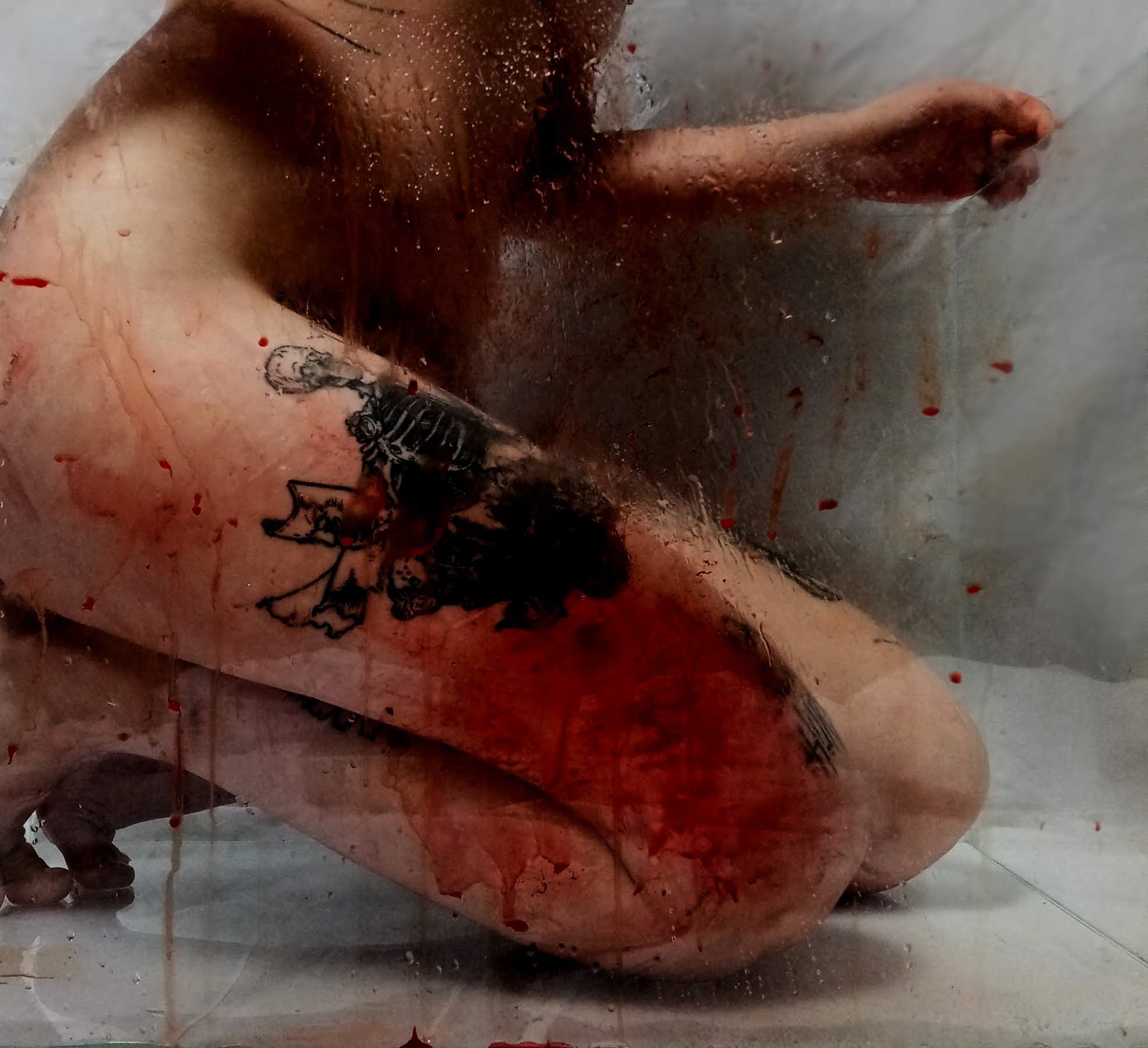 Meurtrissures;